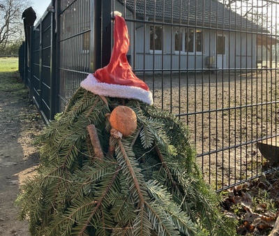 Nikolaus