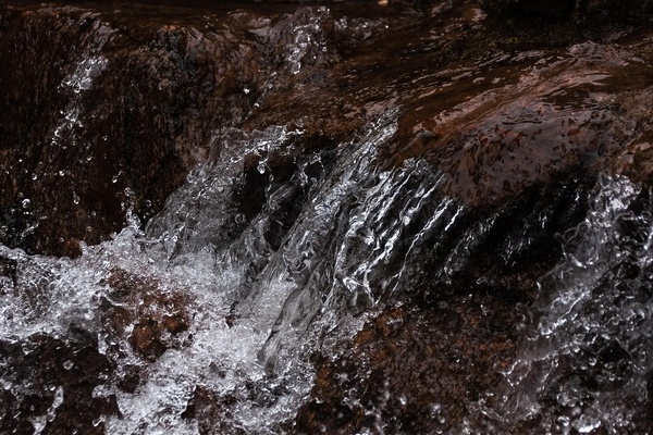Bach, Wasser Bach, Wasser