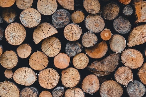 Holz Holz