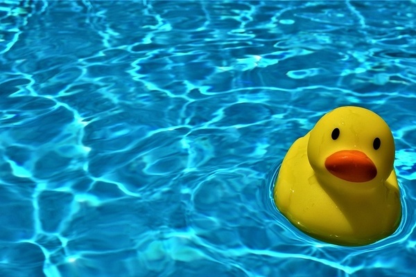 Pool, Quietscheente