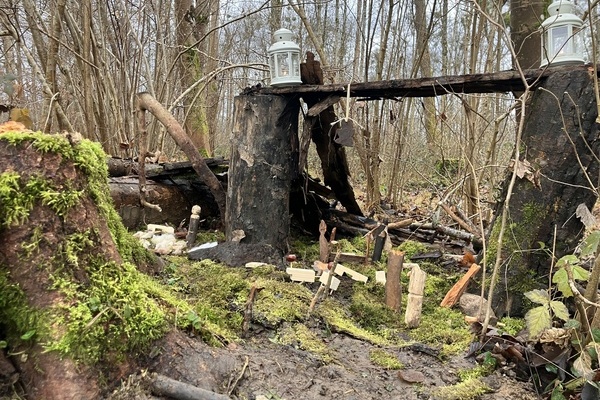 Krippe, Waldmeister, Kindergarten 