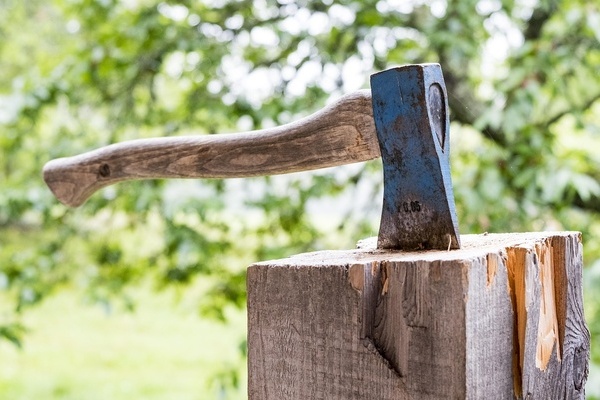 Holz, Natur, Baum, Axt