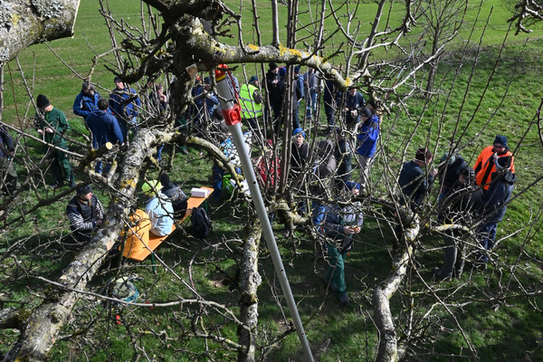 Landschaftspflegetag in der Gemeinde Vrstetten