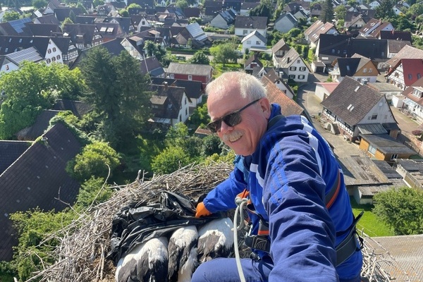 Martin Kury vom Verein Weißstorch Breisgau e.V. beringt die Störche der Gemeinde Vörstetten 