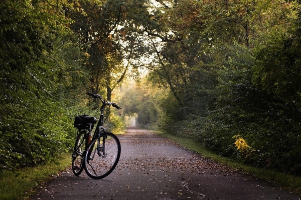 Stadtradeln, Fahrrad, Pfad, Sport Stadtradeln, Fahrrad, Pfad, Sport