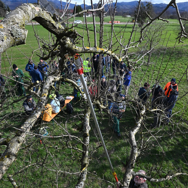 Landschaftspflegetag in Vrstetten