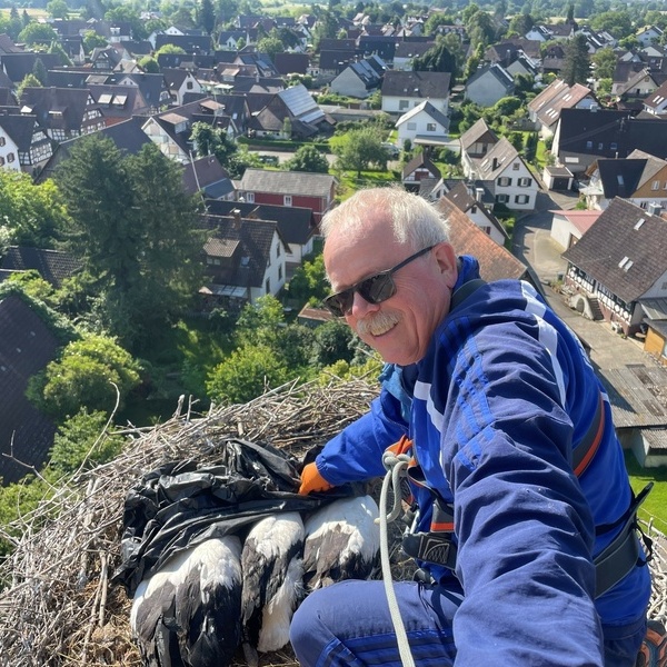 Martin Kury vom Verein Weistorch Breisgau e.V. beringt die Strche der Gemeinde Vrstetten 